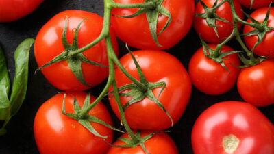Domates ihracatçısı Rusya pazarındaki potansiyeli kullanmak istiyor