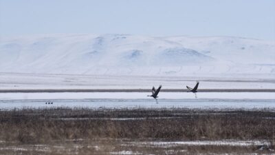 3 yıl önce kurumuştu! Eski günlerine geri döndü