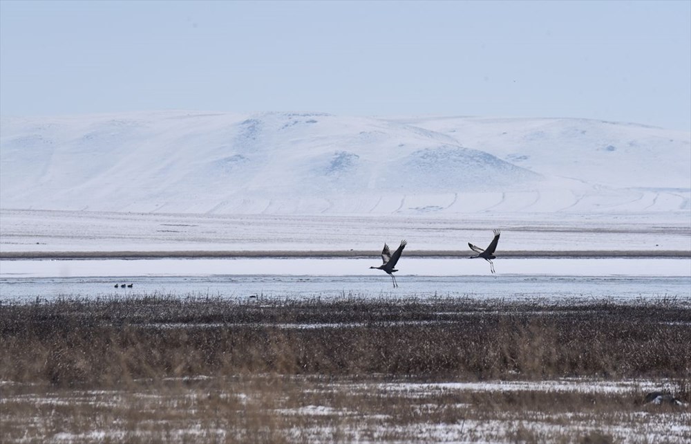 3 yıl önce kurumuştu! Eski günlerine geri döndü