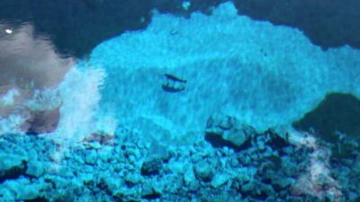 Rengini gören inanamıyor!