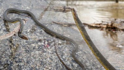 Bursa’dan korkutan görüntüler!
