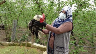 Bunu söyledi… Kesilmekten kurtuldu…