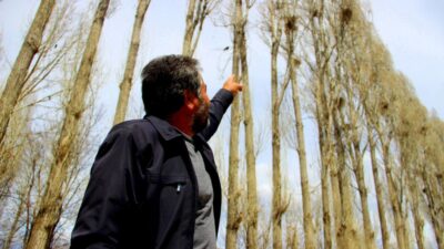 İki köyün kabusu oldular! Bahçelerde mahsul kalmadı