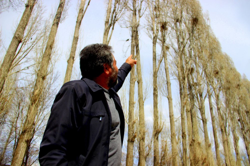 İki köyün kabusu oldular! Bahçelerde mahsul kalmadı