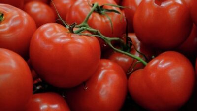 Rusya, Türkiye’den domates ithalat kotasını artırmaya hazırlanıyor