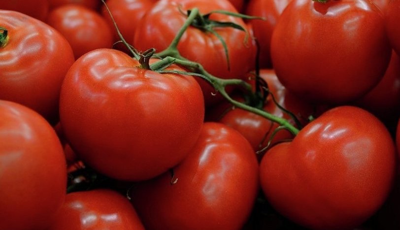 Rusya, Türkiye’den domates ithalat kotasını artırmaya hazırlanıyor