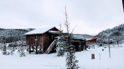 Bursa’da nisanda kar sürprizi