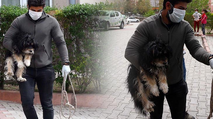 Köpeğin sürekli havlamasından şüphelendiler! Korkunç olay ortaya çıktı