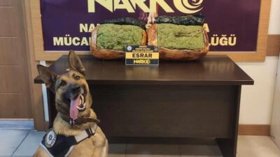 Otomobildeki 10,2 kilo esrarı ‘Pars’ buldu