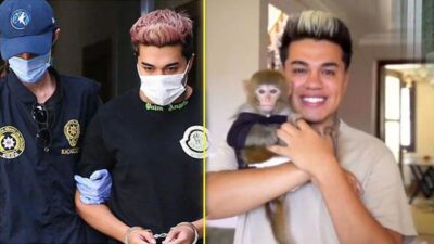 Kaçak maymun besleyen fenomene büyük şok!