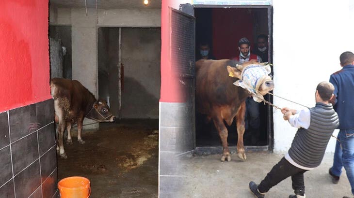 Kaçak et kesimi yapan 2 iş yerine baskın!