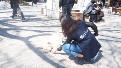 EKA Kurs sokak hayvanlarını unutmadı
