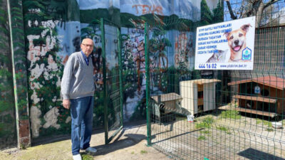 Yıldırım’ın sokaklarında aç hayvan kalmayacak