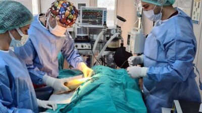 Anne köpek ve yavrularına Osmangazi şefkati