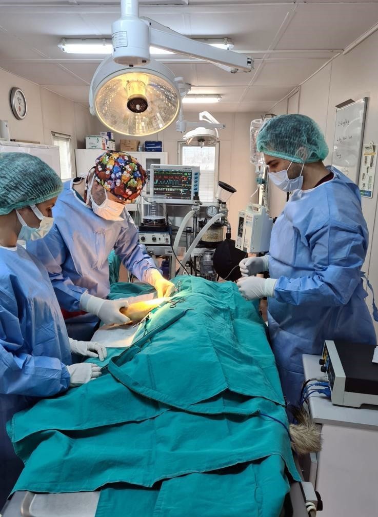 Anne köpek ve yavrularına Osmangazi şefkati