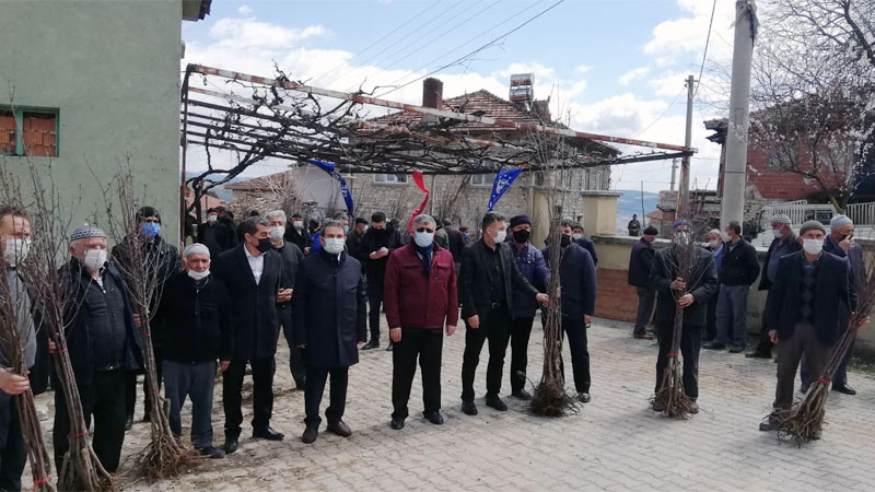 Dağ ilçeleri meyvecilikle kalkınacak