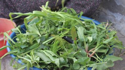 Bursa’da bu pide sadece şifalı otlarla yapılıyor