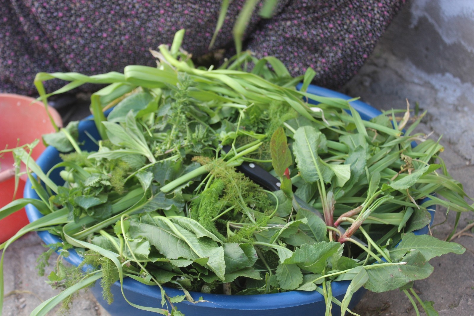 Bursa’da bu pide sadece şifalı otlarla yapılıyor