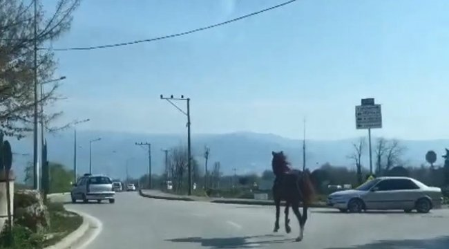 Bursa trafiğinde dört nala