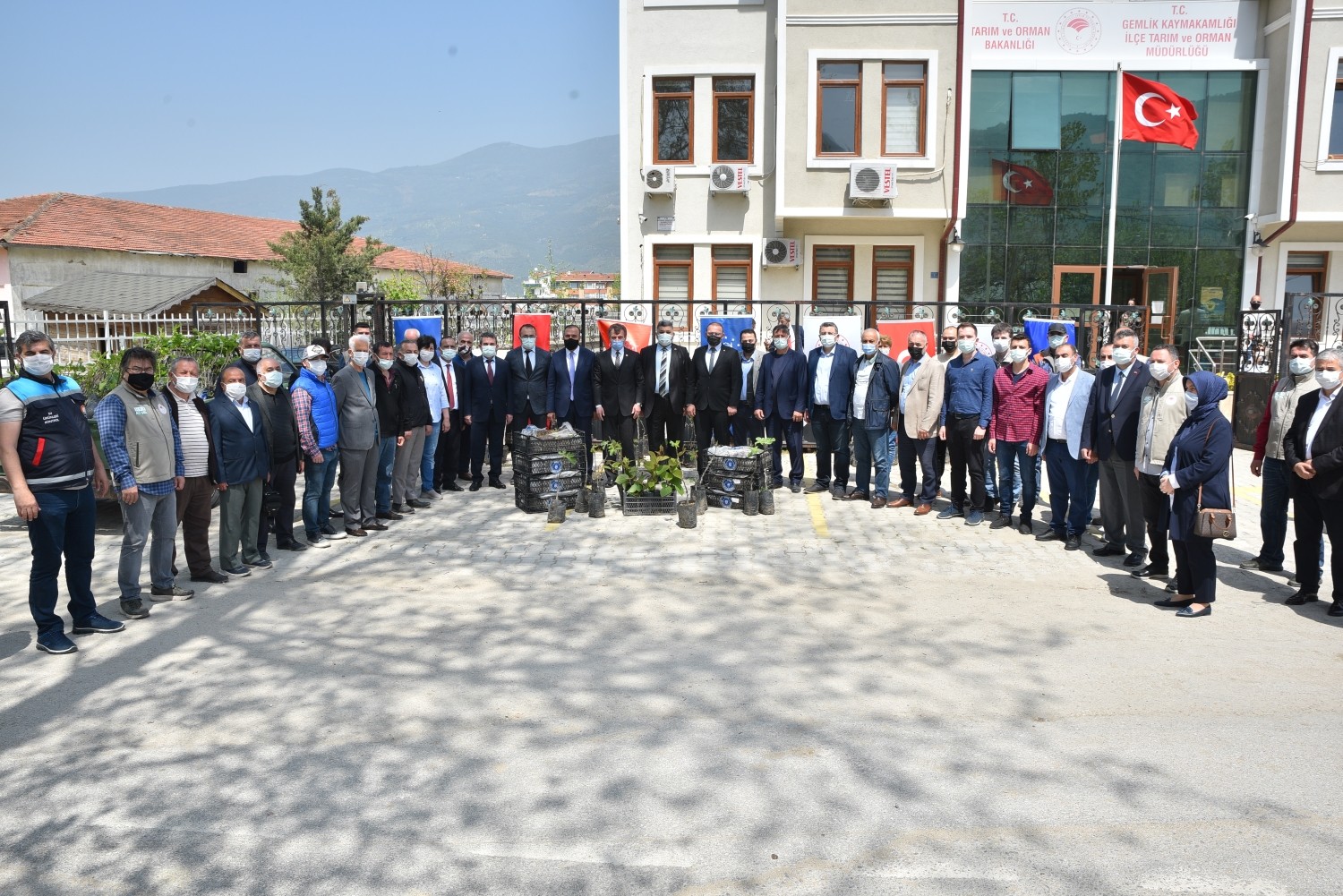 Büyükşehirden çiftçiye fidan desteği