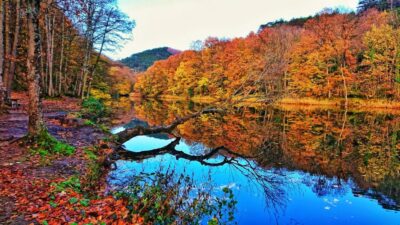 Tabiat Parkı kiraya veriliyor…