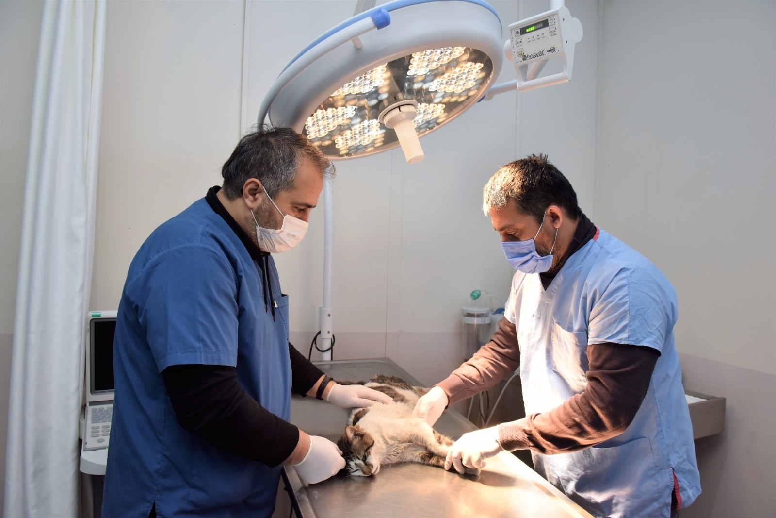 Sokaklardaki can dostlar Yıldırım Belediyesi’ne emanet