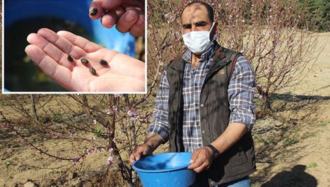 Mavi leğen istiladan kurtardı Mavi leğen istiladan kurtardı