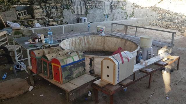 Horoz dövüştüren 6 kişiye para cezası