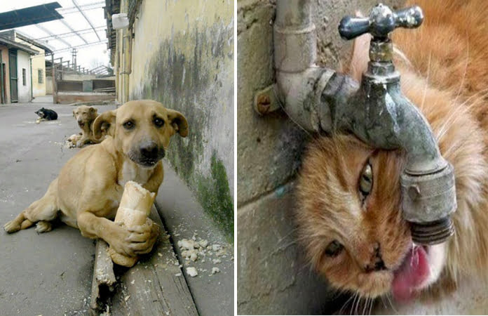 Bursa sınıfta kaldı!