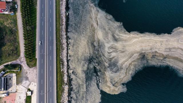 Deniz yüzeyinde beyaz tabaka oluştu