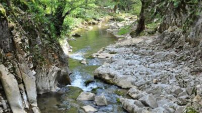 Bursa’ya tescilli Tabiat Parkı!