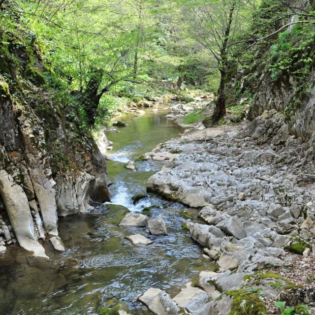 Bursa’ya tescilli Tabiat Parkı!