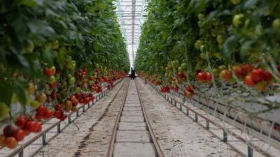 Tarım ve Orman Bakanlığı’ndan yatırım çağrısı