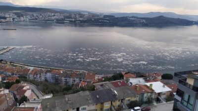 Beyaza bürünen Gemlik Körfezi korkuttu