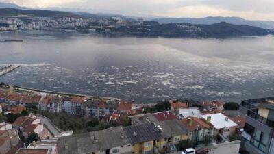 Beyaza bürünen Gemlik Körfezi korkuttu