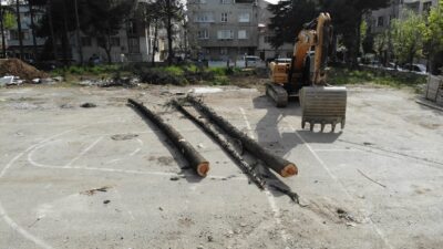 Bursa’da ağaç katliamını mahalleli önledi