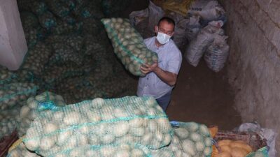 35 bin ton patates ihtiyaç sahiplerine dağıtıldı