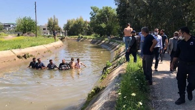 Arı saldırısından kaçan imam su kanalında can verdi
