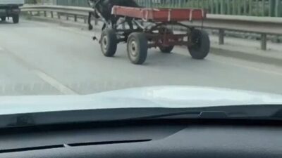 Bursa’da sürücüsüz at arabası trafiği bir birine kattı