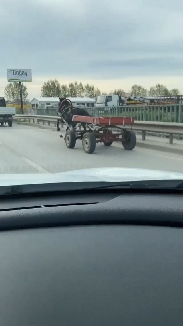 Bursa’da sürücüsüz at arabası trafiği bir birine kattı
