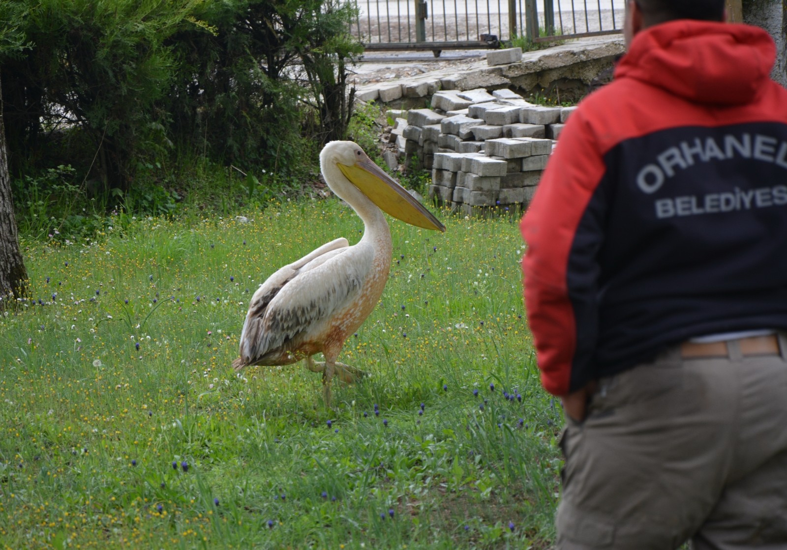Bursa’da tarlada çalışırken duyduğu sesten sonra gördüğüne inanamadı