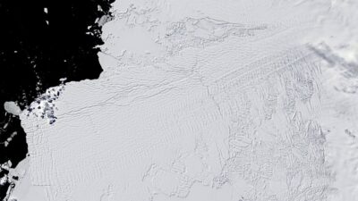 Alarm veriyor! İnsanlığı büyük bir facia bekliyor!