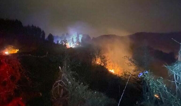 Rize'nin Ardeşen ilçesinde çıkan orman yangınına müdahale ediliyor.