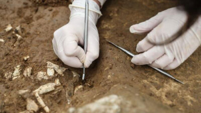 İstanbul’da bulundu! Dünyanın göç haritası değişebilir