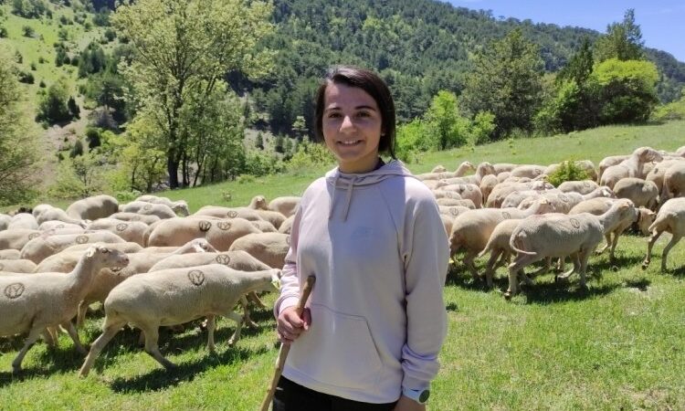 Bursa’da koyunlarını otlatarak Avrupa Şampiyonası’na hazırlanıyor Bursa'da 20 yaşındaki öğrenci, dağda koyunlarının peşinde koşarak yaptığı antrenmanlarla