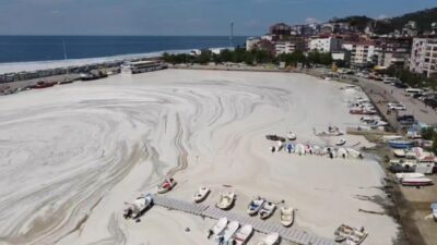 Kâbus bitmiyor! Tüm sahili kapladı