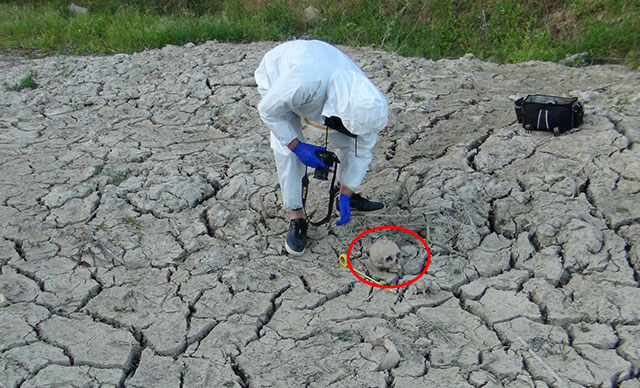 Portakal bahçesini sularken şoke oldu