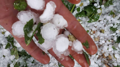 Karadeniz bölgesi için dolu uyarısı! Tarih verdi, il il uyardı