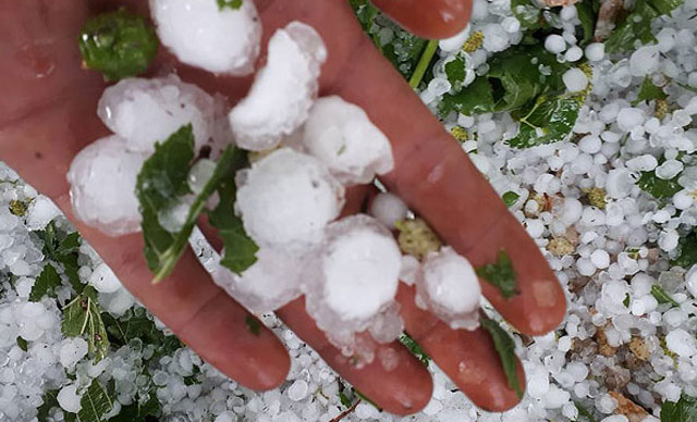 Karadeniz bölgesi için dolu uyarısı! Tarih verdi, il il uyardı