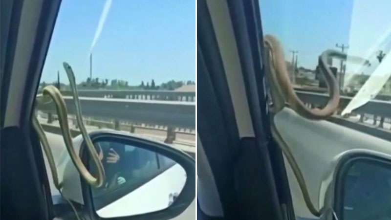 Görür görmez telefona sarıldılar! Seyir halindeyken…